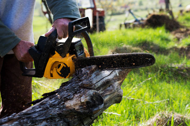 Pest Control for Lawns in Haliimaile, HI